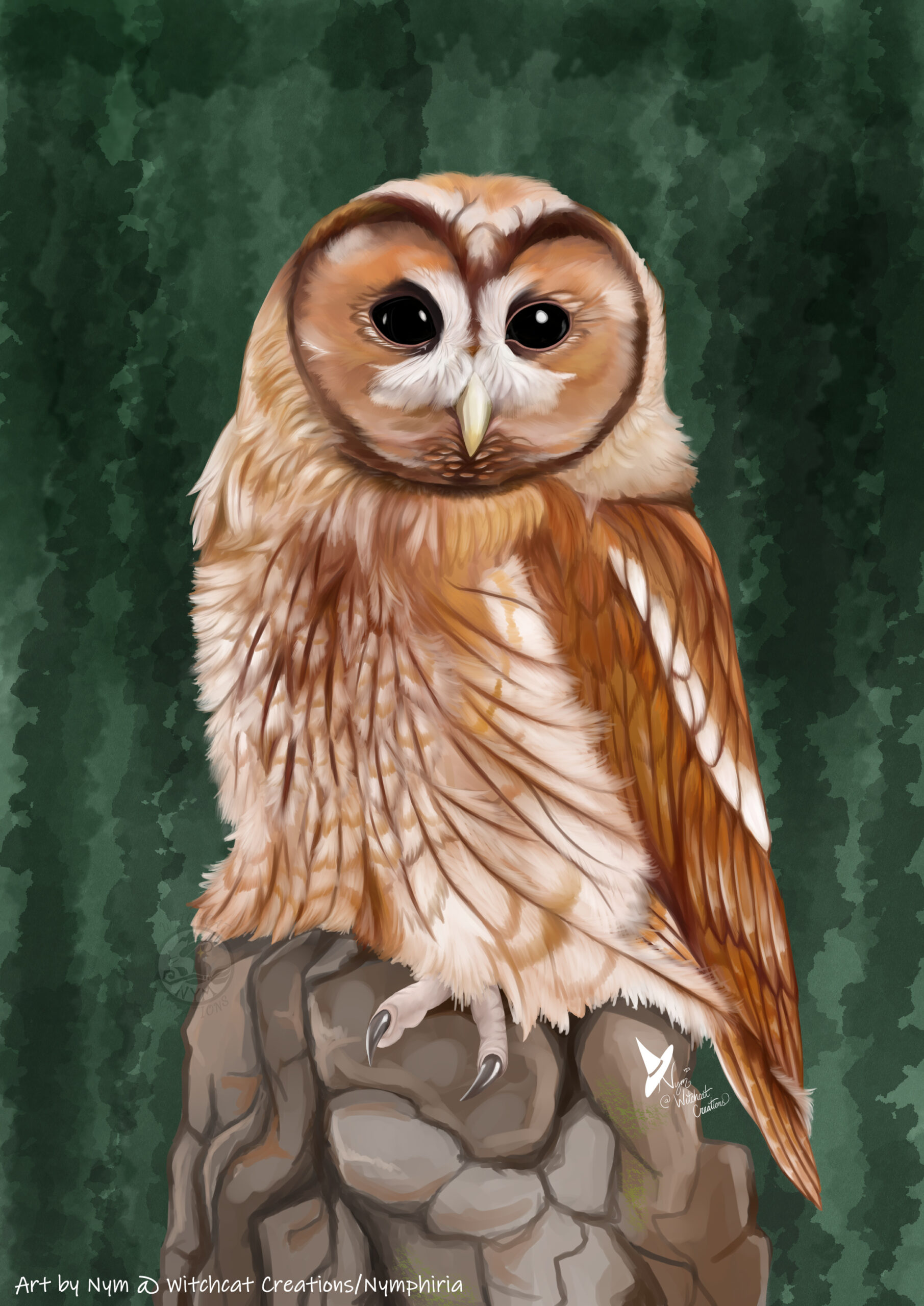 This image has an empty alt attribute; its file name is Tawny-Owl-Posting-scaled.jpg